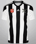 newcastle united alternative fans shirt 2015