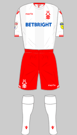 nottingham forest 2018-19 change kit