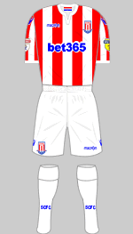 stoke city 2018-19 1st kit