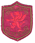 fa of wales crest 1886